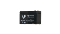 12V7AH